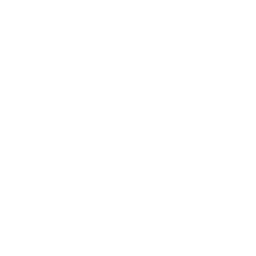 Rating Icon